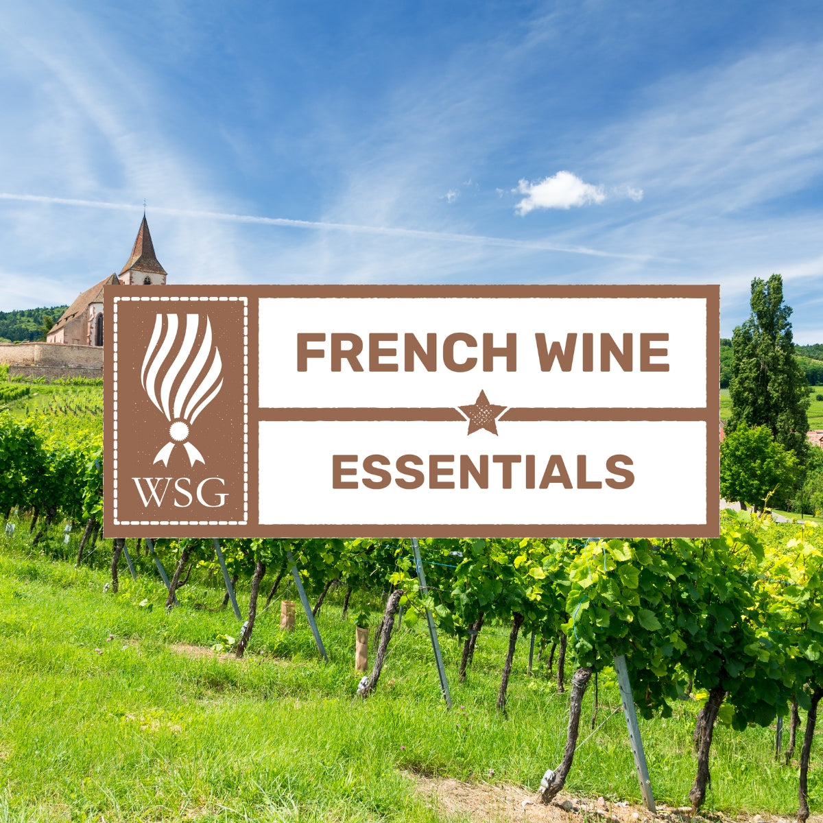 Wine Scholar Guild French Wine Essentials